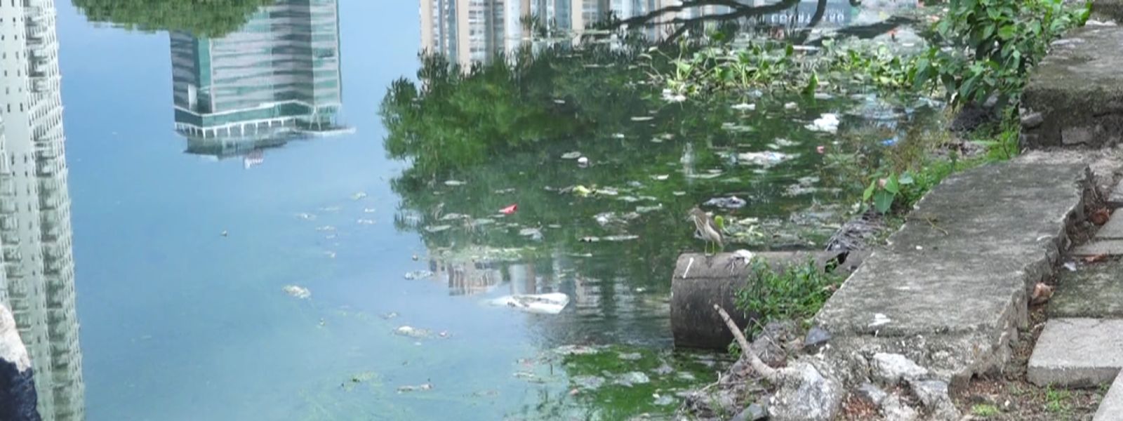 Committee to Clean and Develop Beira Lake